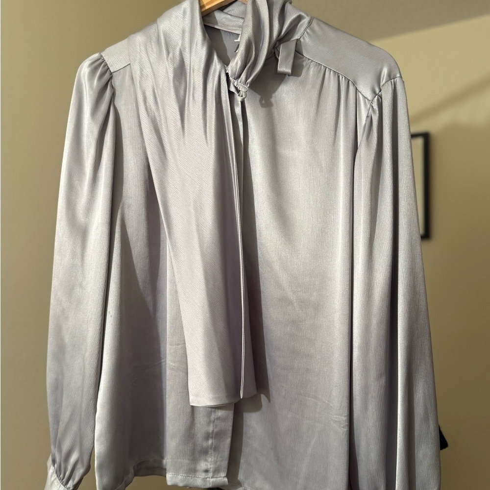 Elegant Silver Blouse